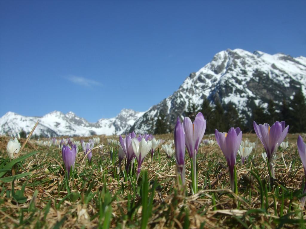 Hotel Alpensonne Riezlern Esterno foto